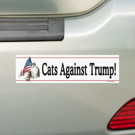 "Katzen gegen Trumpf" Autoaufkleber (Auf Auto)