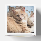 Katzen Geschenkschachtel (Oben)