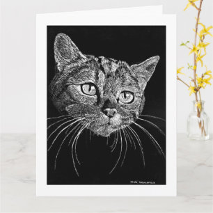 Katzen-Gesicht-Kratzbrett-Zeichnungskarte Karte