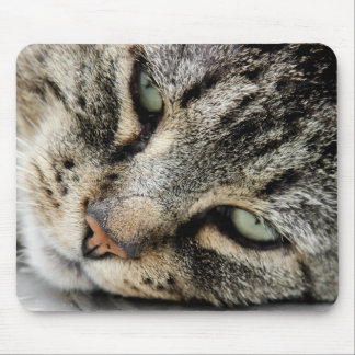 Katzen-Gesicht Mousepad
