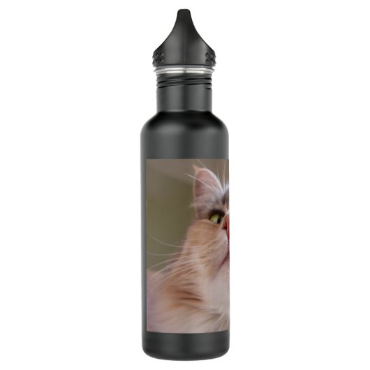 Katzen-Gesicht Trinkflasche (Links)