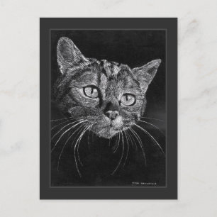 Katzen-Gesicht-Zeichnung von Mark Edward Westerfie Postkarte