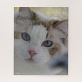 Katzen-Gesichts-Puzzlespiel Puzzle (Vertikal)