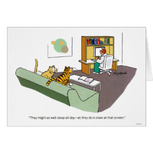 Katzen-Gespräch