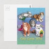 Katzen Gone Wild Postkarte (Vorne/Hinten)