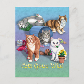 Katzen Gone Wild Postkarte