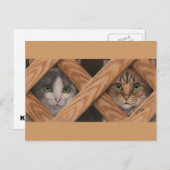 Katzen Gray Tabby hinter Gitterzaun Postcard Postkarte (Vorne/Hinten)