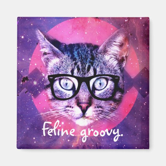 Katzen Groovy Katze Magnet (Vorne)