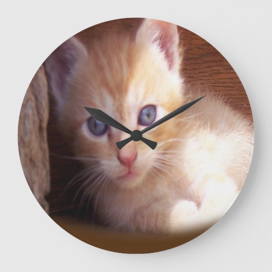 Katzen Große Wanduhr (Vorderseite)