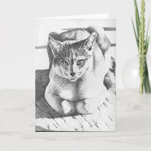 Katzen-Gruß-Karte Karte (Vorderseite)