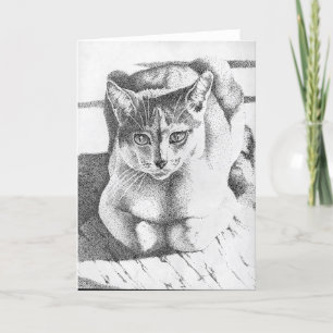 Katzen-Gruß-Karte Karte