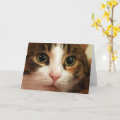 Katzen-Gruß-Karte Karte (Gelbe Blume)