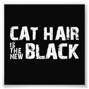 Katzen-Haar ist das neue Schwarze Fotodruck