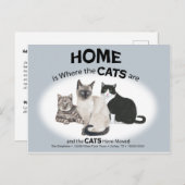 Katzen haben die Postkarte verschoben (Vorne/Hinten)