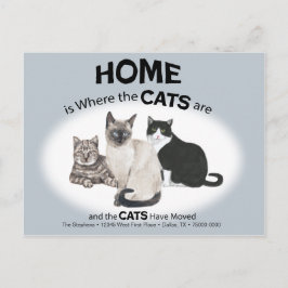 Katzen haben die Postkarte verschoben