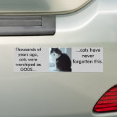 Katzen haben gute Erinnerungen Autoaufkleber (Auf Auto)
