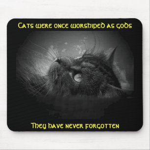 Katzen haben Meme nicht vergessen Mousepad