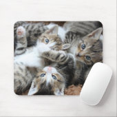 Katzen, Haustiere, Kater Mousepad (Mit Mouse)