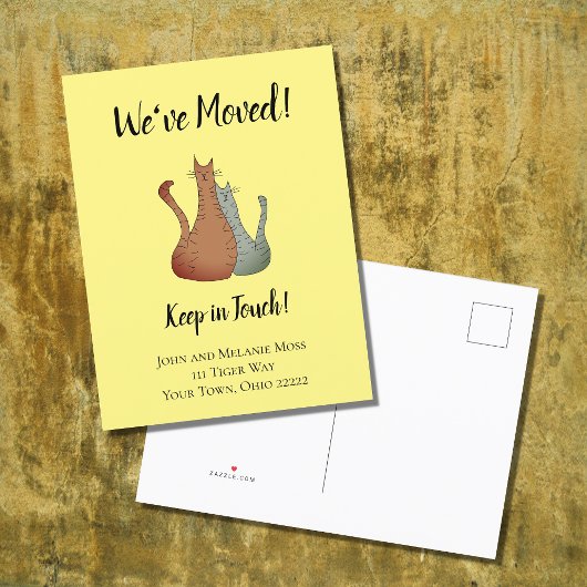 Katzen Haustiere Neue Zuhause Ankündigung Postkart