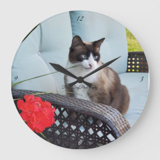 Katzen-Haustierfamilie Große Wanduhr