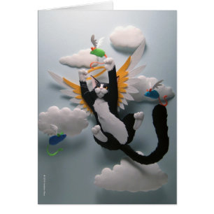 Katzen-Himmels-Karte