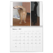 Katzen-Hintern 2020-Kalender Kalender (Feb 2027)