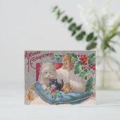 Katzen & Holly Postkarte (Stehend Vorderseite)