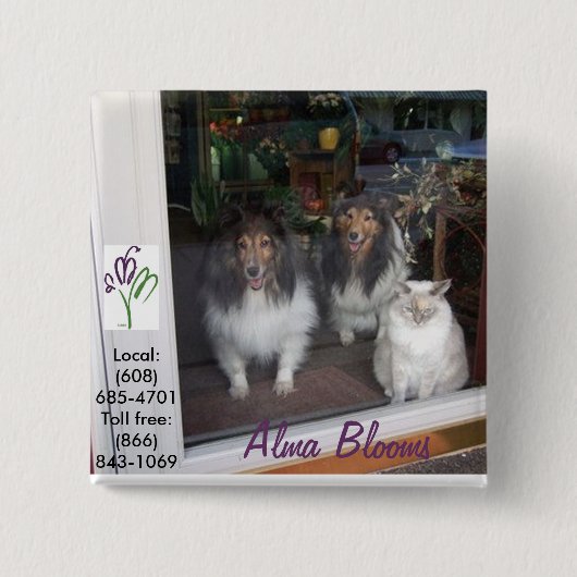 Katzen & Hunde Button (Vorderseite)