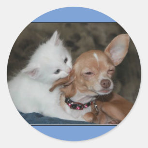 Katzen-/Hundeaufkleber Runder Aufkleber