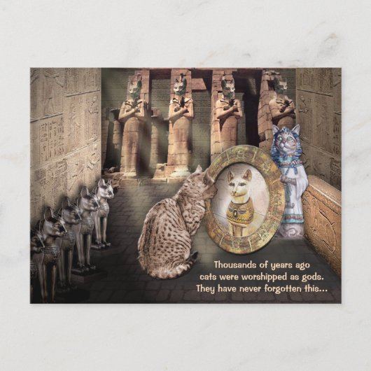 Katzen im alten Ägypten Postkarte (Vorderseite)