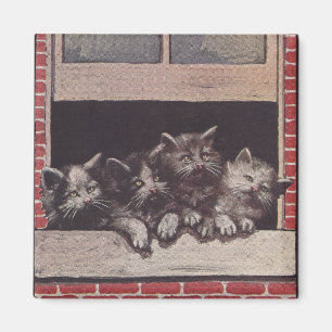 Katzen im Fenster Vintage Magnet