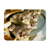 Katzen im Freizeitpark. Magnet (Horizontal)