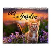 Katzen im Garten Kalender (Titelbild)