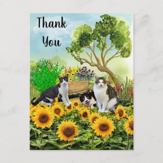 Katzen im Garten / Sonnenblume Danke Collage Postkarte (Vorderseite)