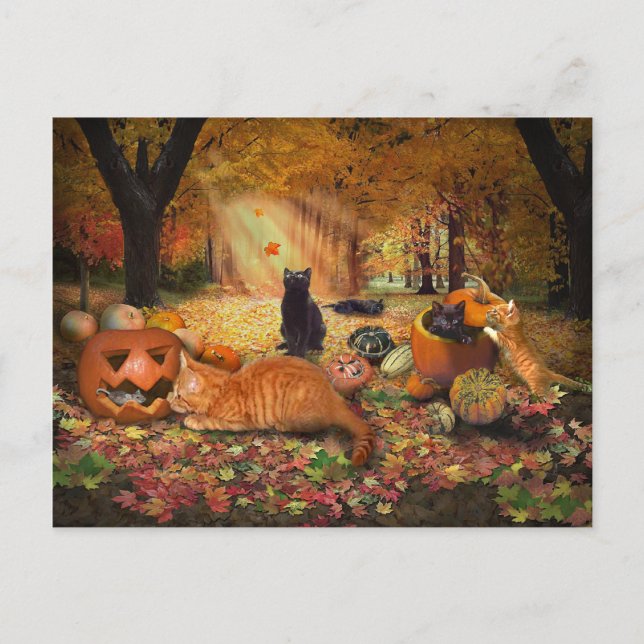 Katzen im Herbst Postkarte (Vorderseite)