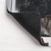 Katzen im Küchen-Fenster Mousepad (Ecke)