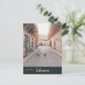 Katzen im Libanon Postkarte (Stehend Vorderseite)