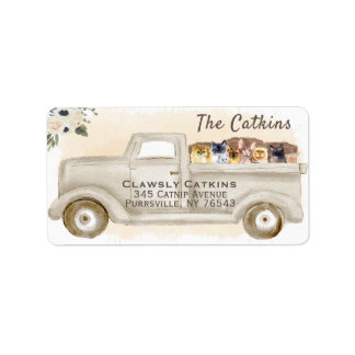 Katzen im LKW mit Kisten, Rücksendekennzeichen Adressaufkleber