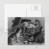 Katzen im Nähkorb Postkarte (Vorne/Hinten)