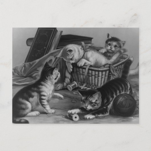 Katzen im Nähkorb Postkarte (Vorderseite)