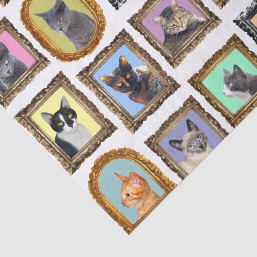 Katzen im Rahmen von Gewebepapier Seidenpapier (Detail)