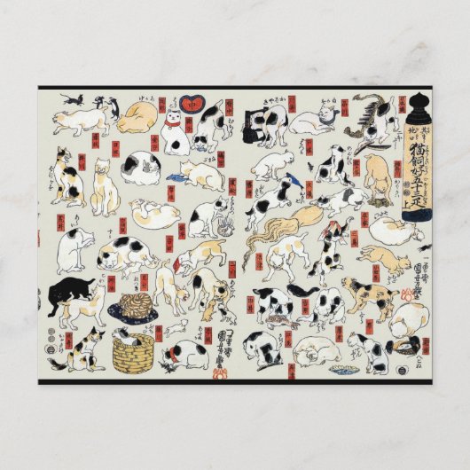 Katzen im Überfluss Postkarte (Vorderseite)