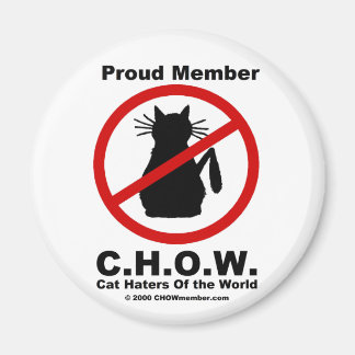 Katzen im Weltmagnet Magnet