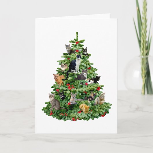 Katzen in Bäumen Feiertagskarte (Vorderseite)