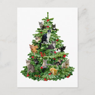 Katzen in Bäumen Postkarte