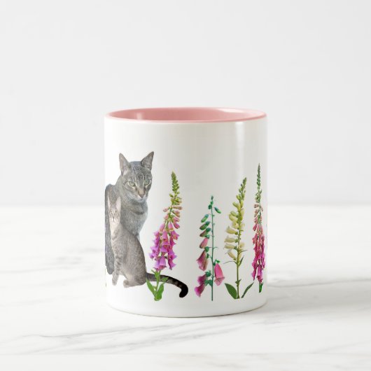 Katzen in der Fingerhut Zweifarbige Tasse (Mittel)