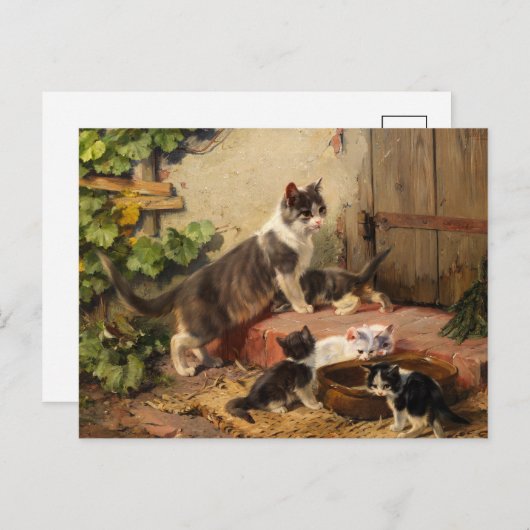 Katzen in der Milchschüssel | Julius Adam the Youn Postkarte (Vorne/Hinten)