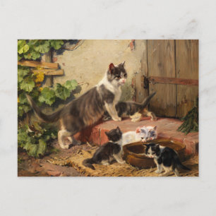 Katzen in der Milchschüssel   Julius Adam the Youn Postkarte
