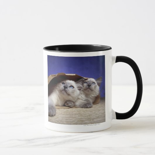 Katzen in der Papiertüte Tasse (Rechts)