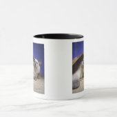 Katzen in der Papiertüte Tasse (Zentrum)
